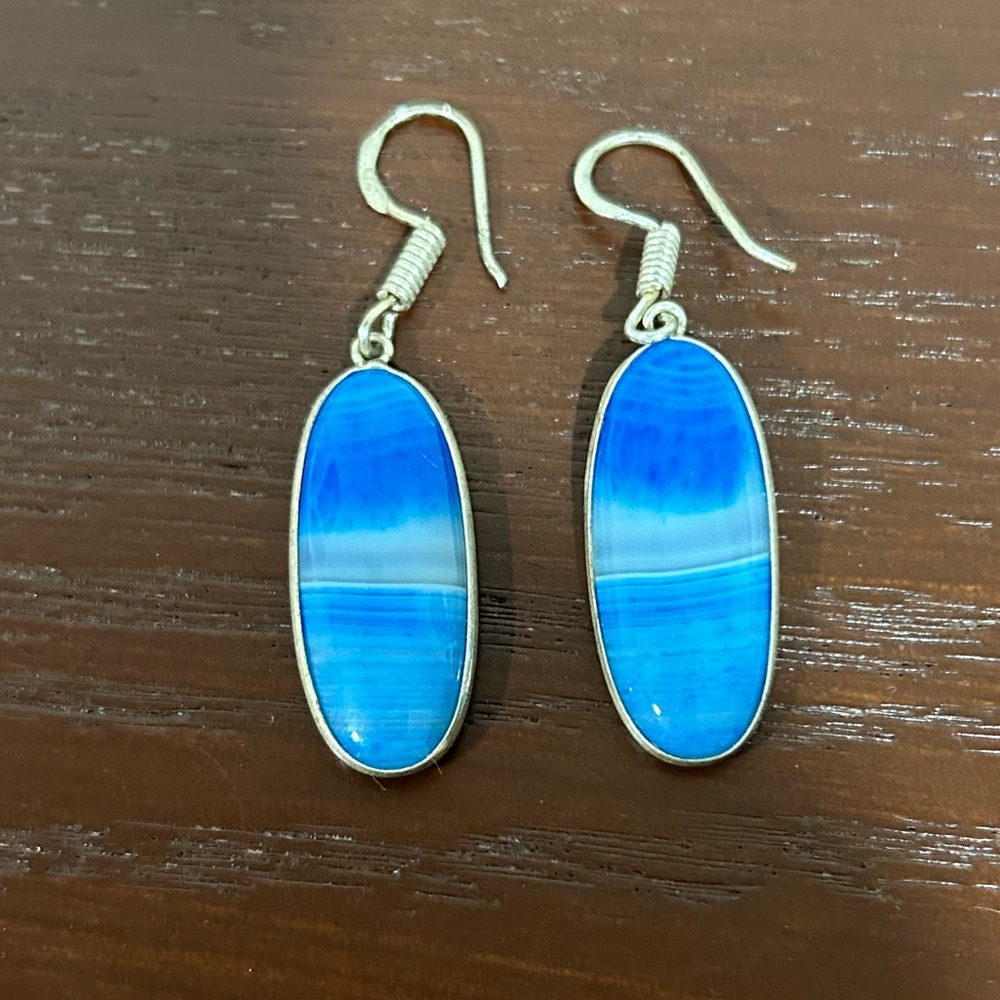 Botswana Agate Silver Earrings Blue